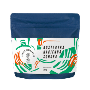 Kostaryka Hacienda Sonora