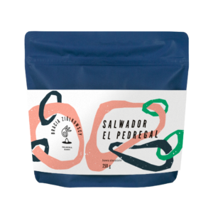 Salwador El Pedregal