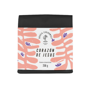 Coraz&oacute;n de Jesus