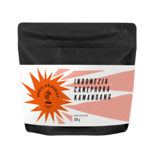 Indonezja Canephora Kamandang